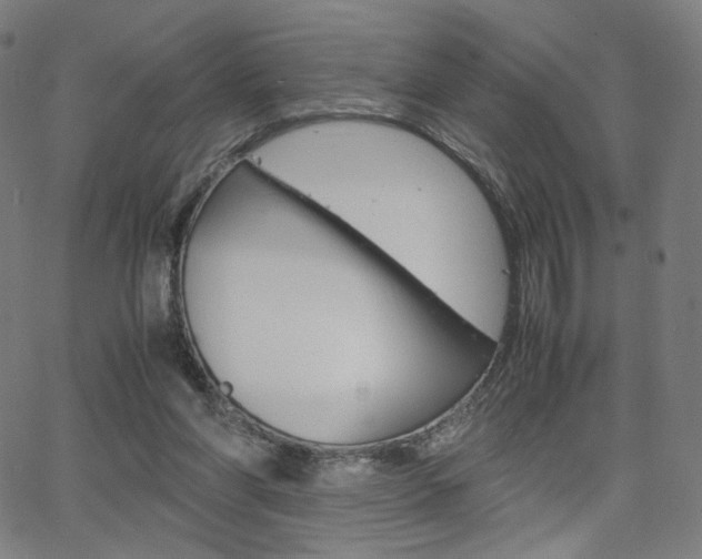 X0000063460206200601200938