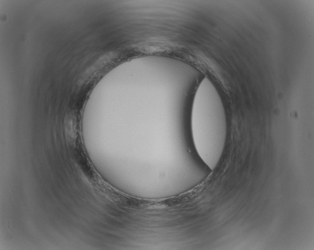 X0000063460210200601200938