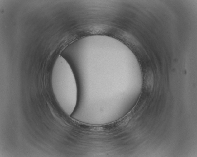 X0000063460214200601200938