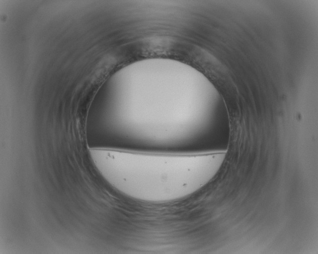 X0000063460224200601200938