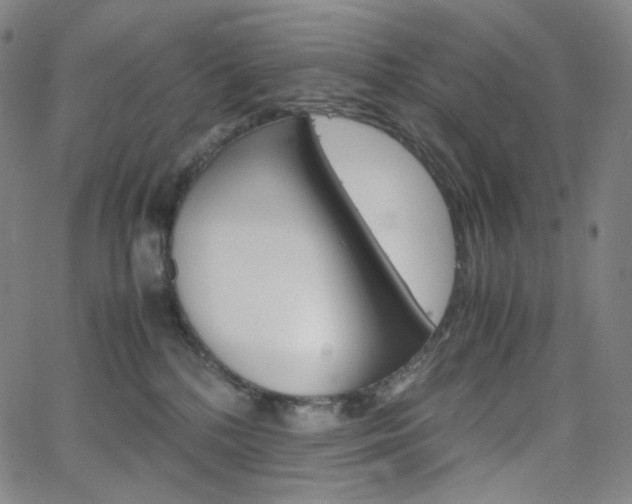 X0000063460232200601200938