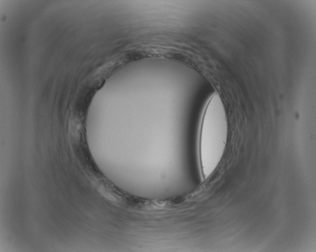 X0000063460235200601200938