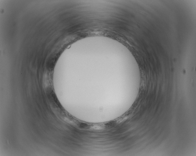 X0000063460236200601200938