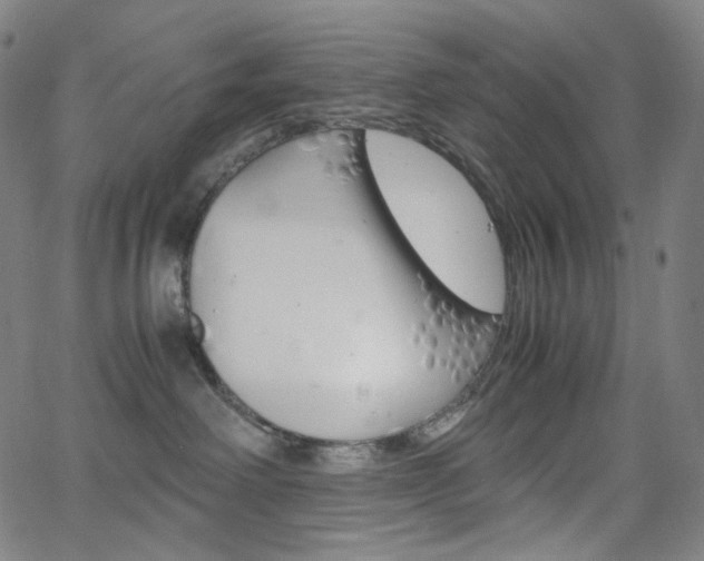 X0000063460238200601200938