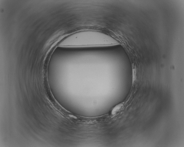 X0000063460243200601200937