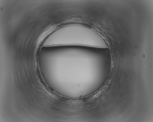 X0000063460245200601200937