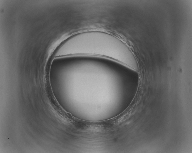 X0000063460248200601200937
