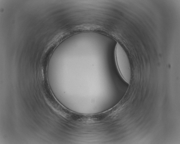 X0000063460254200601200937