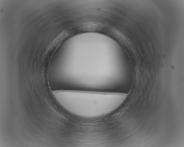 X0000063460258200601200937