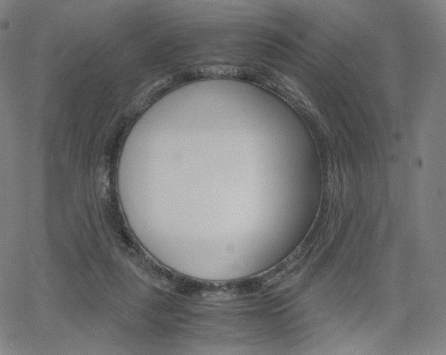 X0000063460259200601200937