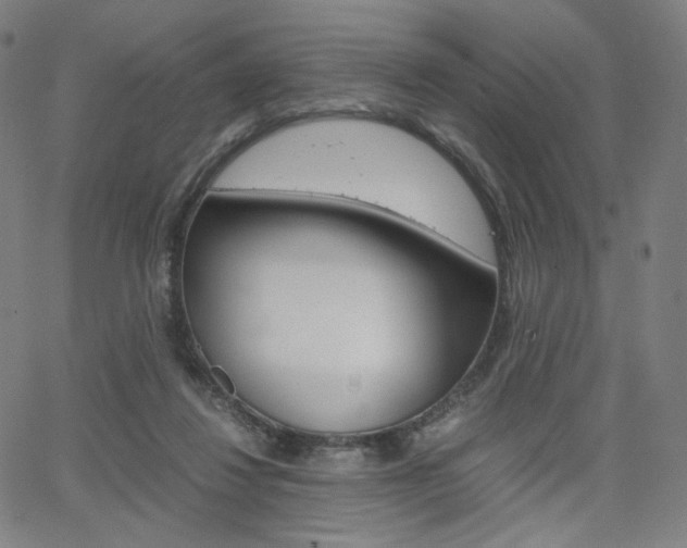 X0000063460260200601200937