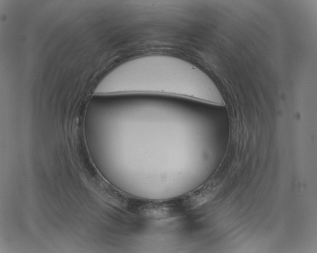 X0000063460263200601200937
