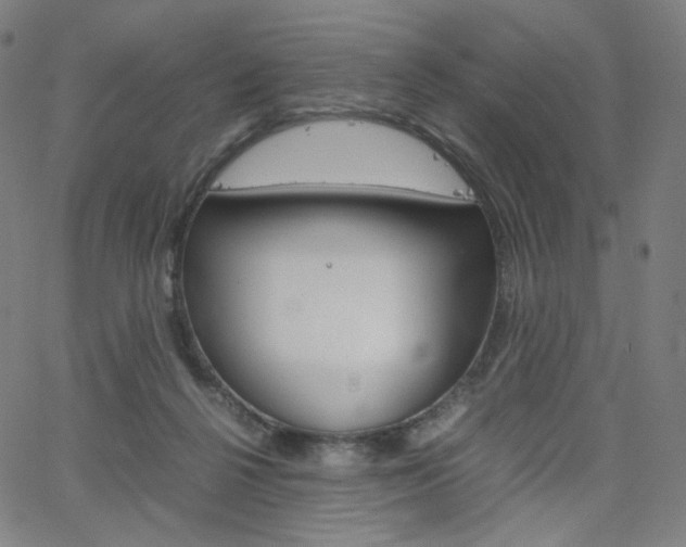 X0000063460264200601200937