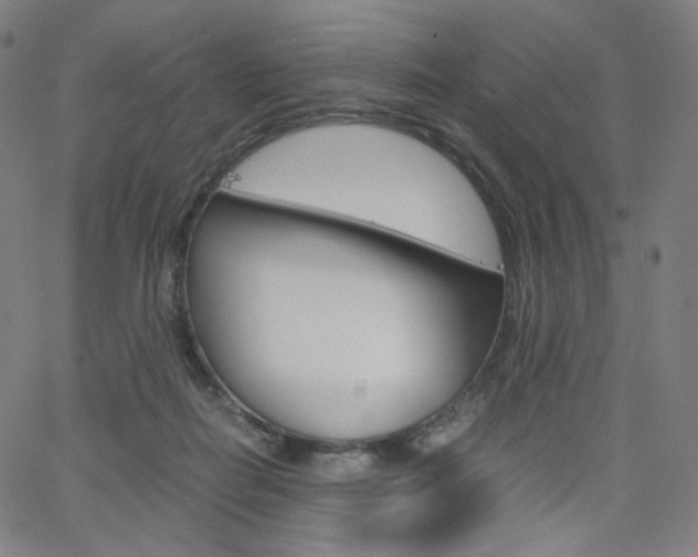 X0000063460266200601200937