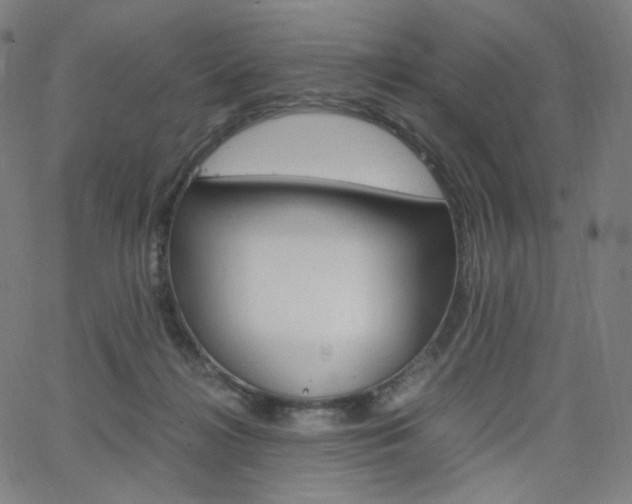 X0000063460268200601200937