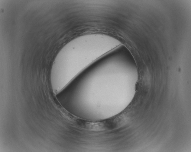X0000063460277200601200938