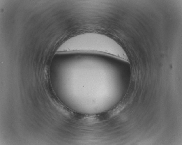 X0000063460280200601200938