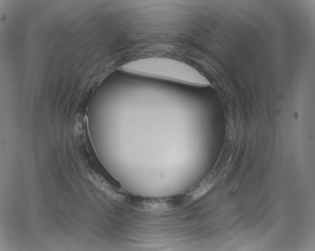 X0000063460284200601200938