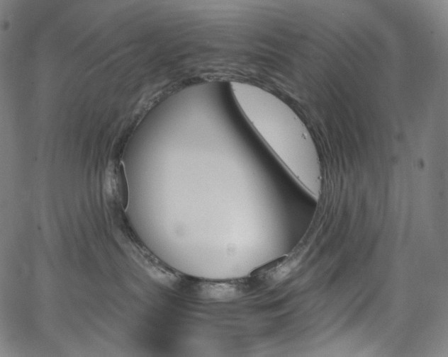 X0000063460287200601200938