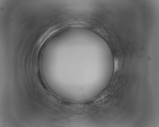 X0000063460291200601200937