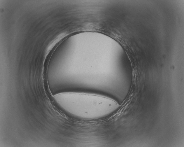 X0000063460292200601200937