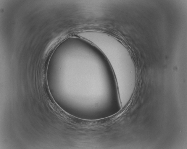 X0000063460293200601200937