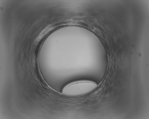 X0000063460295200601200937