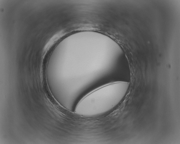 X0000063460296200601200937