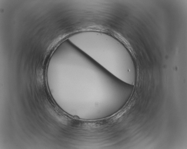 X0000063460298200601200937
