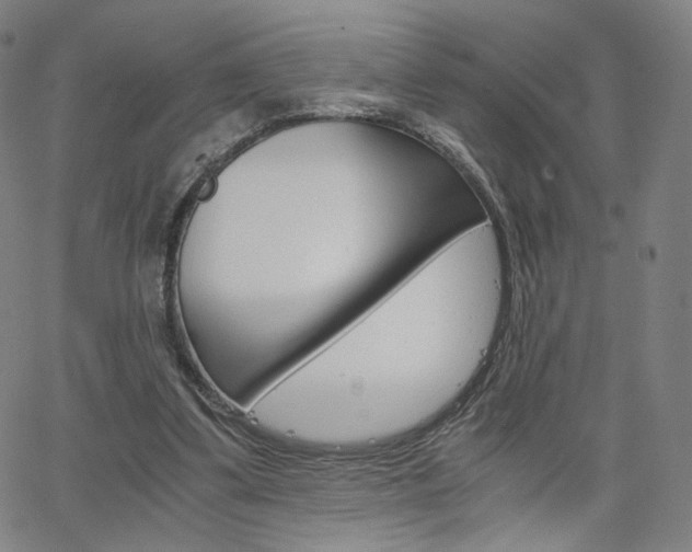 X0000063460299200601200937