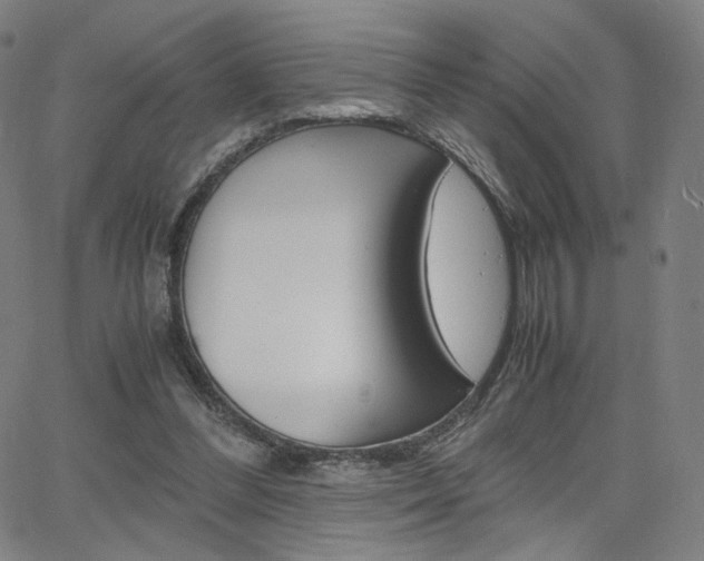 X0000063460300200601200937