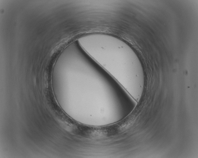 X0000063460303200601200937