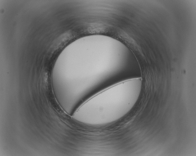X0000063460308200601200937