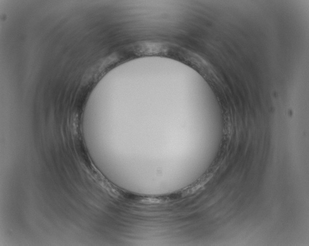 X0000063460326200601200936