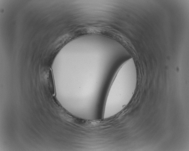X0000063460329200601200936