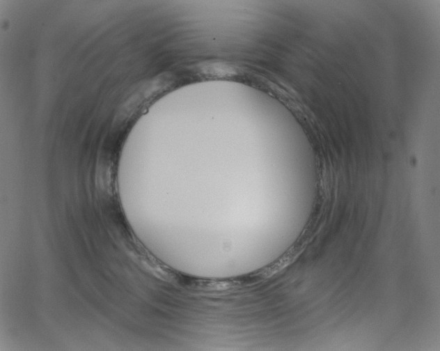 X0000063460330200601200936