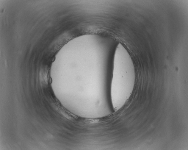 X0000063460334200601200936