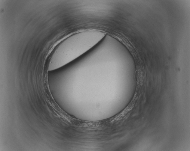 X0000063460338200601200935