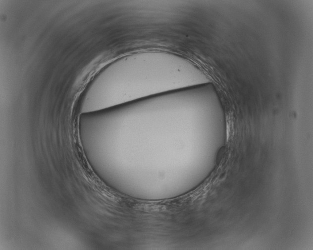 X0000063460339200601200935