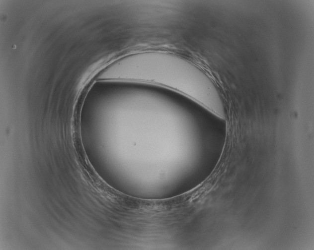 X0000063460340200601200935