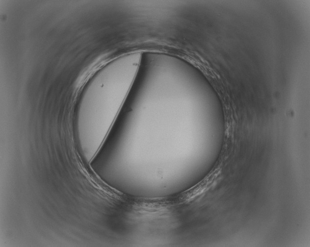 X0000063460341200601200935