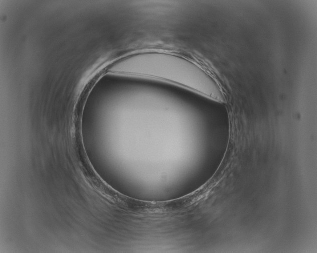 X0000063460344200601200935