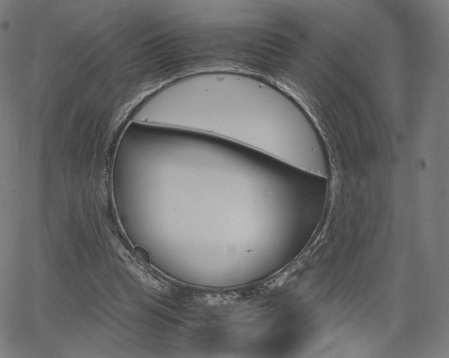 X0000063460345200601200936