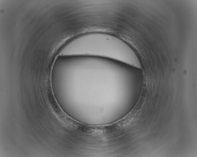 X0000063460352200601200936