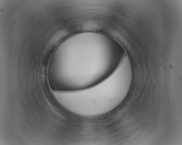 X0000063460356200601200936