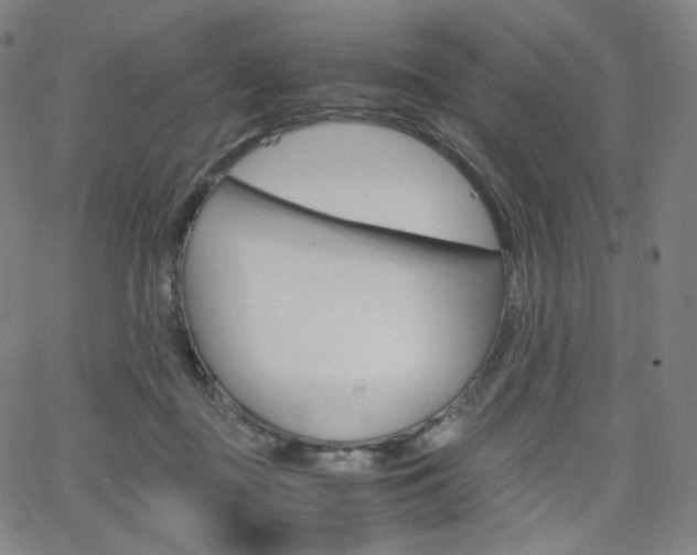 X0000063460363200601200936