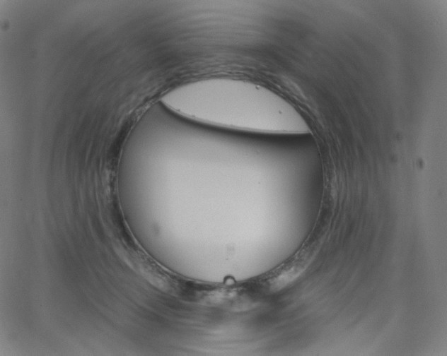 X0000063460366200601200936