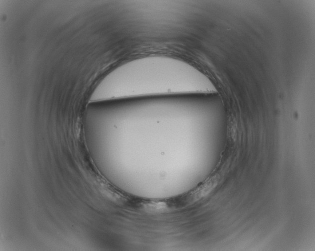 X0000063460374200601200936