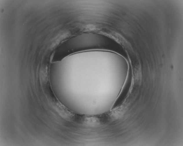 X0000063460376200601200936