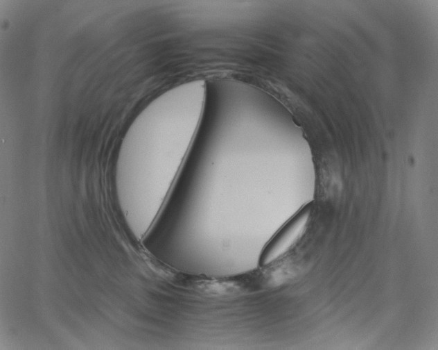 X0000063460379200601200936